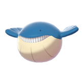 Buy Shiny 6IV Wailmer